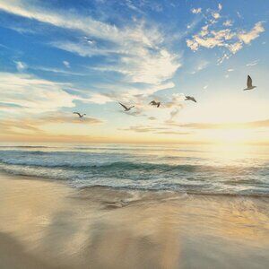 Meet your Posher, Jack